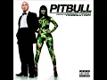 Hotel Room Service-Pitbull
