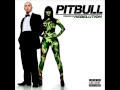 Download Lagu Hotel Room Service-Pitbull