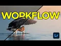 Download Lagu The One Lightroom Tool That Changed This Whole Wildlife Edit