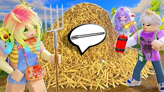 ИЩЕМ ИГОЛКУ В СТОГЕ СЕНА!