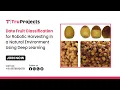 Date Fruit Classification for Robotic Harvesting in a Natural Environment Using Deep Learning