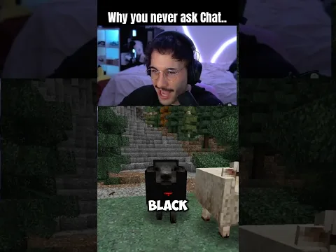 I Should Not Have Asked Chat.. #minecraft