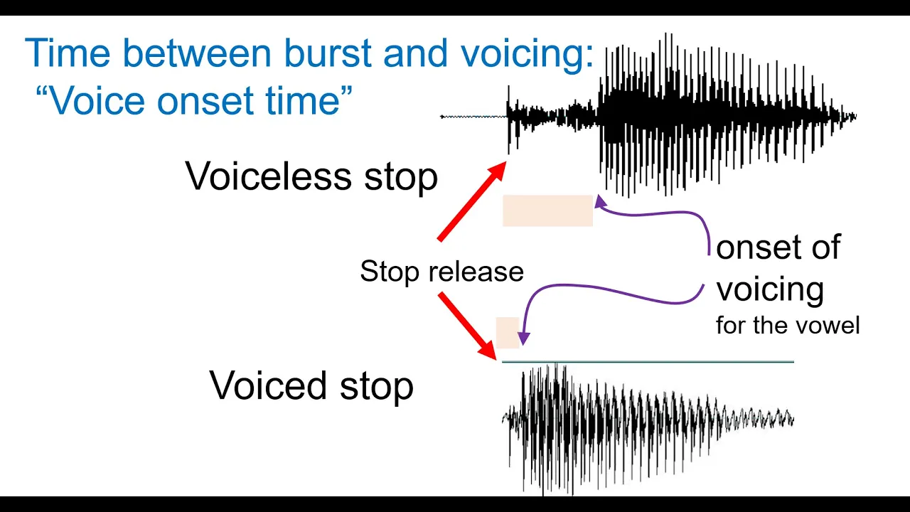 Speech Acoustics 7 - voice onset time (VOT)