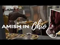 Visiting an Amish Bakery in Ohio Homemade Pretzels Fry Pies More