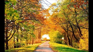 أنشودة الخريف كلمات الأنشودة في صندوق الوصف 