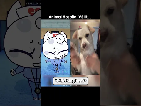 Did the nurse do better than the cute dog 🤔🥹 #audios #animalhospital #usa