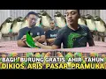Lagu BAGI² BURUNG AHIR TAHUN || BELI CUCAK IJO HARGA 250 RIBU DIKASIH BONUS BURUNG KICAUAN DI KIOS ARIS