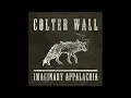 Colter Wall - Sleeping on the Blacktop (2015) HQ