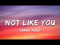 Hammy Muzic - Not Like You | (Lyrics)