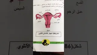 رحم المرأة لأول سوف ترينه هكذا سبحان الله العظيم  رحم المرأة لأول سوف ترينه هكذا سبحان الله العظيم