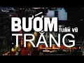 Lagu Bướm Trắng - Tuấn Vũ (Tác giả: Anh Bằng) | Nhạc Vàng Xưa Bất Hủ