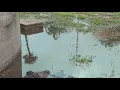 King Tide takes over St Augustine roads