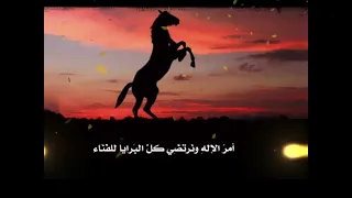 يا اخوتي ماذا دهانا بطيء 