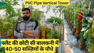 Can You Grow 50 Plants in Your Tiny Balcony? Discover How | फ्लैट की छोटी सी बालकनी में 'सब्ज़ियाँ