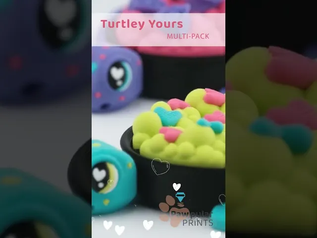 Turtley Yours Multi-Pack video thumbnail