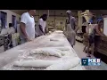 Heart of Louisiana LeJeune s Bakery