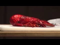 Bullfinchs Cooking Class 01
