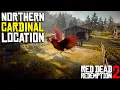 Northern Cardinal Bird Location in RDR2 - Easy Quick Guide
