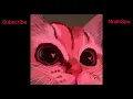 Download Lagu Schnuffel - Bunny Party - ( Sped Up )