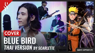 Download Naruto Shippuden OP3 - Blue Bird แปลไทย【Band Cover】by【Scarlette】 MP3