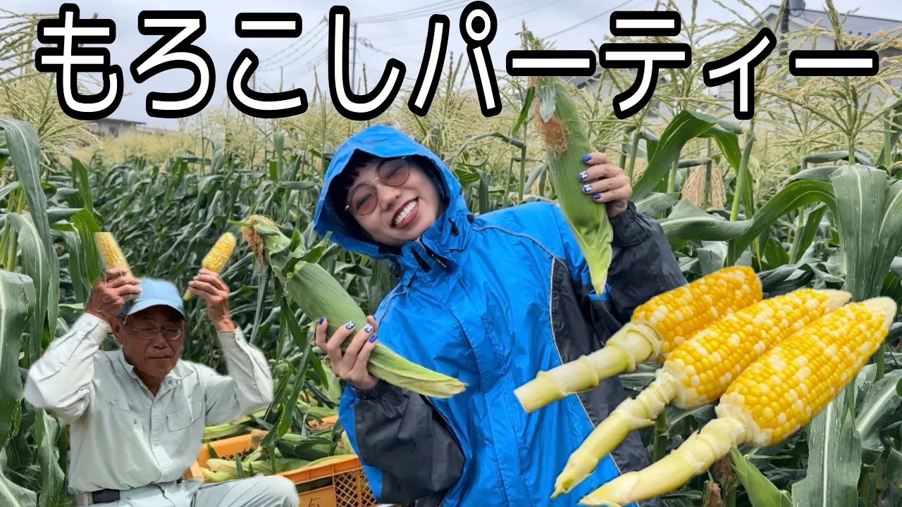 【美味しすぎ】早起きしてもろこし採って食べる!!!