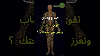 أطعمة تقوي الأعصاب وتعزز من صحتك الاعصاب صحه دايت اطعمة وصفات نصائح صحية صحة جسد عش بصحة 