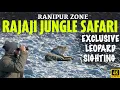 Download Lagu Rajaji Jungle Safari | Rajaji Tiger Reserve | Rajaji National Park | Leopard Sighting | 4K Video