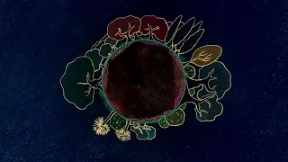 Mycorrhizal Fungi: The Roots of Life on Land