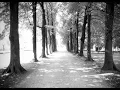 Beethoven, String Quartet 15 In A Minor, Op. 132, "Heiliger Dankgesang" - 3. Molto Adagio