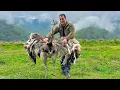 Download Lagu Kook de beste onvoorstelbare recepten in het bergdorp Azerbeidzjan