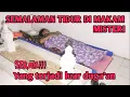 Download Lagu UJI NYALI DI KUBURAN: Makam tua tak bernama CAMPING HOROR