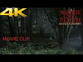 Download Lagu Winnie The Pooh: Blood And Honey - Tina’s Death Clip | 4K-Dolby 5.1