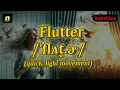 n Flutter meaning quick light movement with 5 examples
