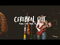 Cerebral Rot live at Kapu, Linz - Sept. 15, 2022