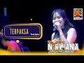 Download Lagu Terpaksa \