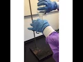 Isolation of p-tert-butylphenol