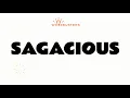 SAGACIOUS adjective Meaning Pronunciation and Examples in Sentences GRE GMAT LSAT SAT ESL TOEIC