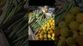 Nic & Wild Adventures Melbourne was unbelievable. Insane sunrise, up close with wild Kangaroos &more