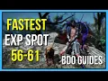 Fastest EXP Grinding Spots 56 - 61 Black Desert Online Guides