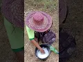 Download Lagu Jual gelembung sabun 😂😂 || tiktok/ramdhi_cokicokiw || #bugis #shortvideo #bugisviral