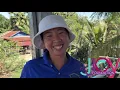 Download Lagu The JOY of Volunteering with JJoy and VBC in Cambodia