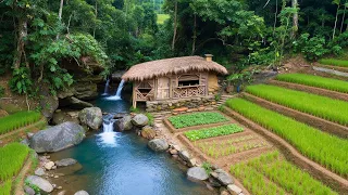24-Year-Old Turns Wild Jungle Into a Self-Sufficient Farm in 10 Months
