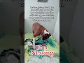 7 signs a dog is in labor close to giving birth Part 1-Nesting