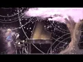 Download Lagu Shigatsu wa Kimi no Uso - Friend A [四月は君の嘘 - Beautiful Emotional Uplifting]