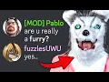 INVADING FURRY DISCORD SERVERS
