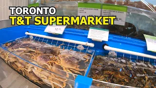 Download [4K] 🇨🇦 T\u0026T Supermarket | Largest Asian Supermarket Chain in Canada | Fairview Shopping Mall MP3
