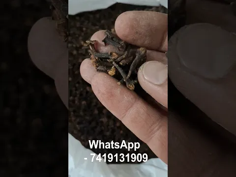 Natural Ingredients of Shree Gorakh Dhooni - श्री गोरख धूनी