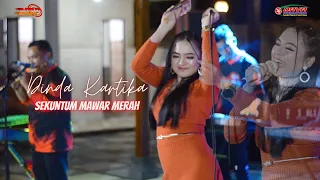 sekuntum mawar merah dinda kartika om ndp