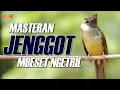 Download Lagu MASTERAN CUCAK JENGGOT GACOR MBESET NGETRIL