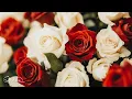 Download Lagu De melodie is zo mooi dat je ervan moet huilen 🌿 De mooiste melodieën ter wereld